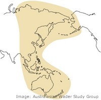 East Australian Flyway